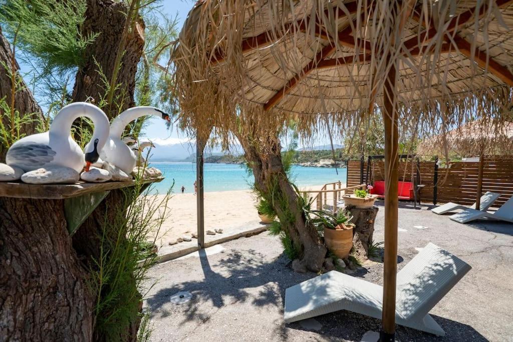 Sea And Sun Metaxy Mas, Brand-New, Beachfront ! La Canea Exterior foto