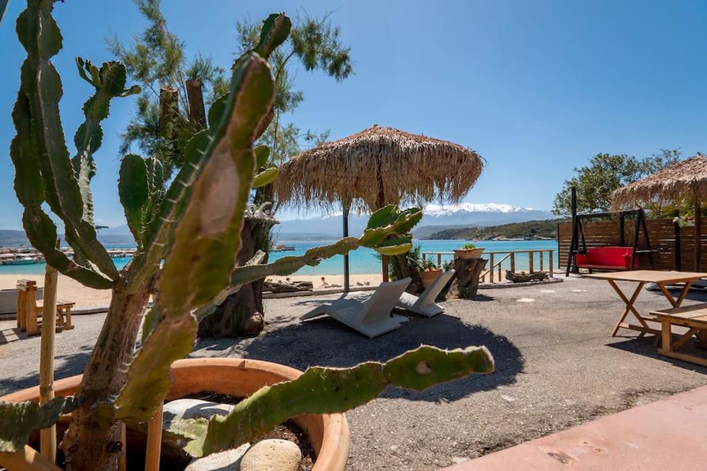 Sea And Sun Metaxy Mas, Brand-New, Beachfront ! La Canea Exterior foto